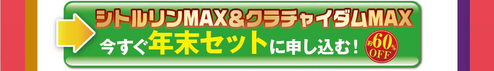 シトルリンMAＸ＆クラチャイダムMAX今すぐ年末セットに申し込む