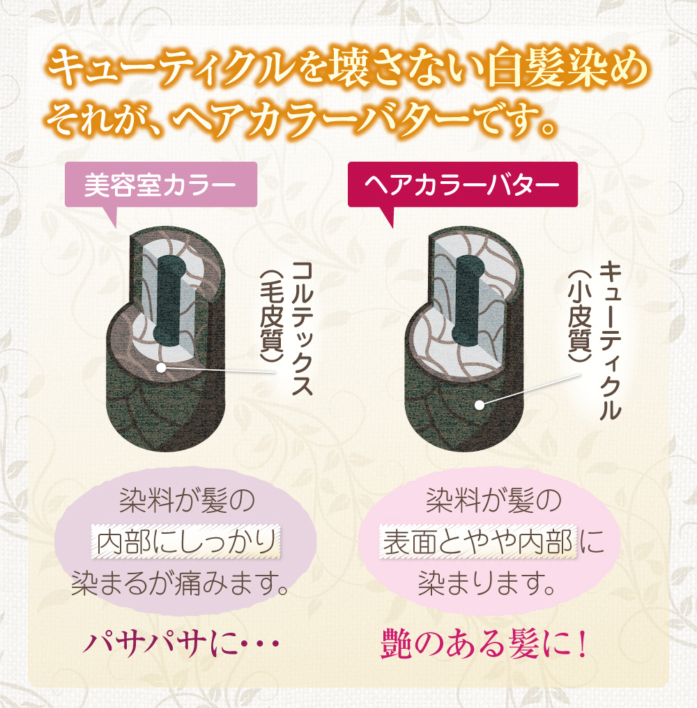 キューティクルを壊さない白髪染め!それが、ヘアカラーバターです。