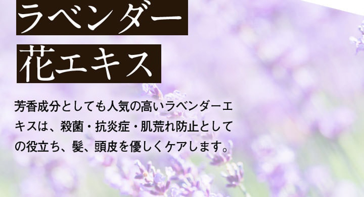ラベンダー花エキス