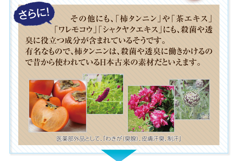 その他にも『柿タンニン』『茶エキス』『ワレモコウ』『シャクヤクエキス』にも殺菌や透臭に役立つ成分が含まれているそうです。